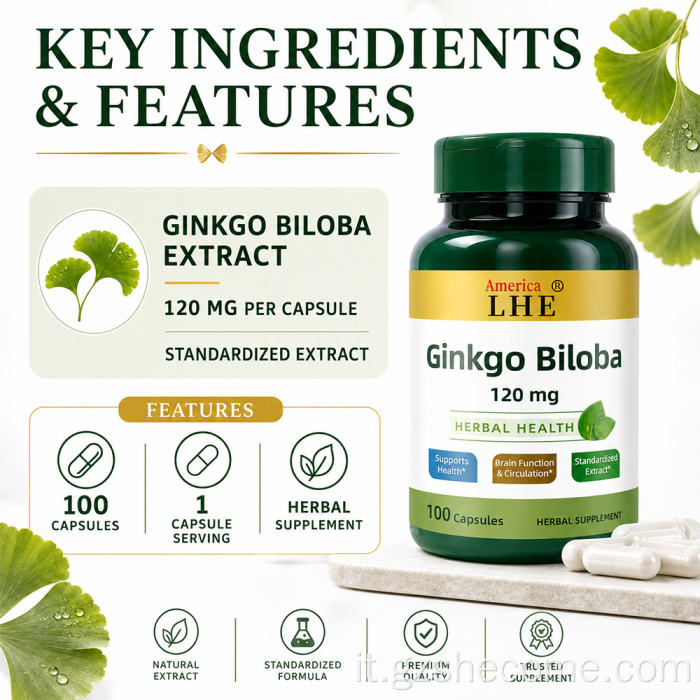 Shecome Ginkgo Biloba Capsule Supporto alla funzione cerebrale
